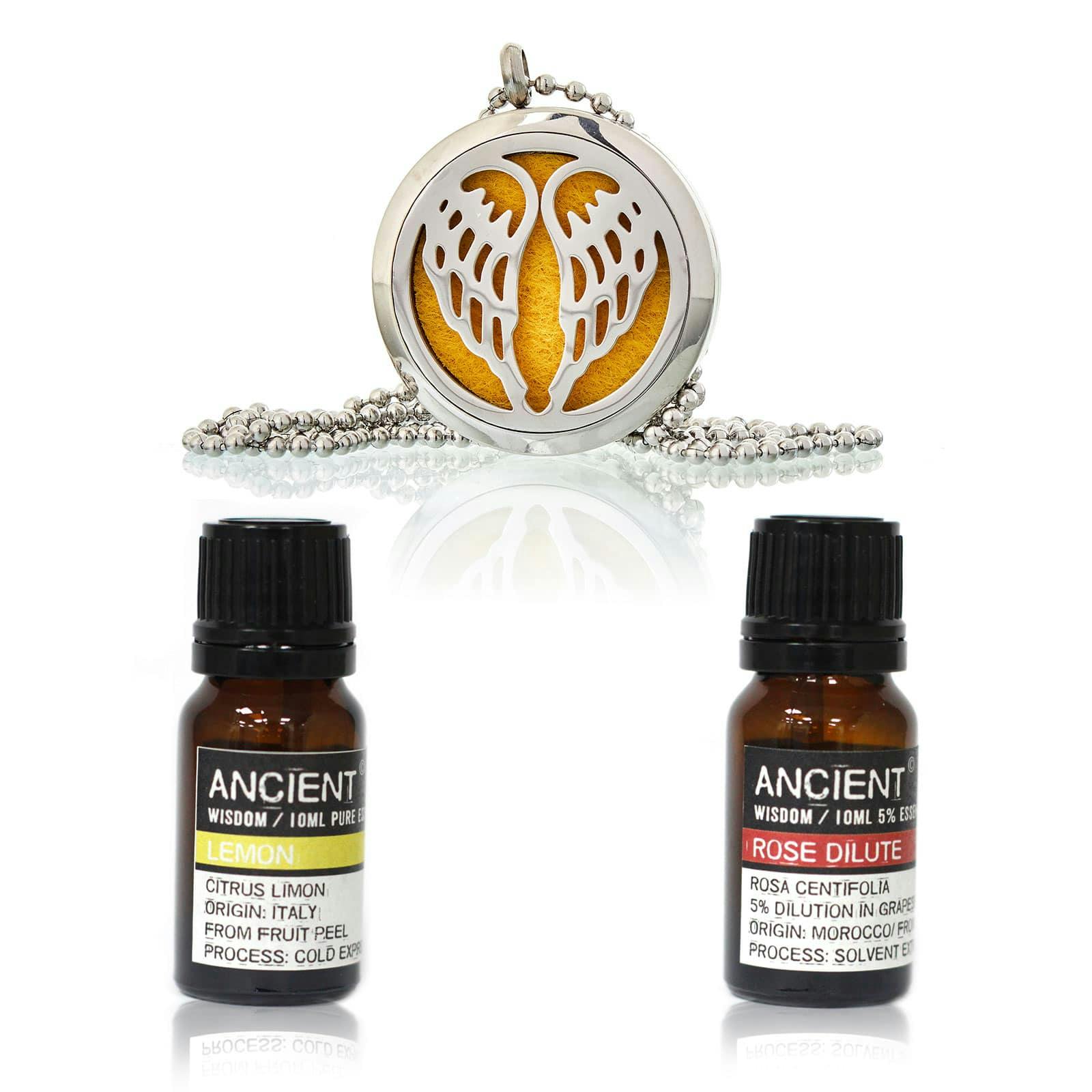 Diffuser Necklace and Essential Oils Set Image