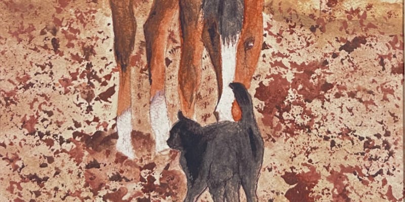 Dazzle Me With Kitty