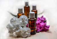 ﻿5 Popular Aromatherapy Scents