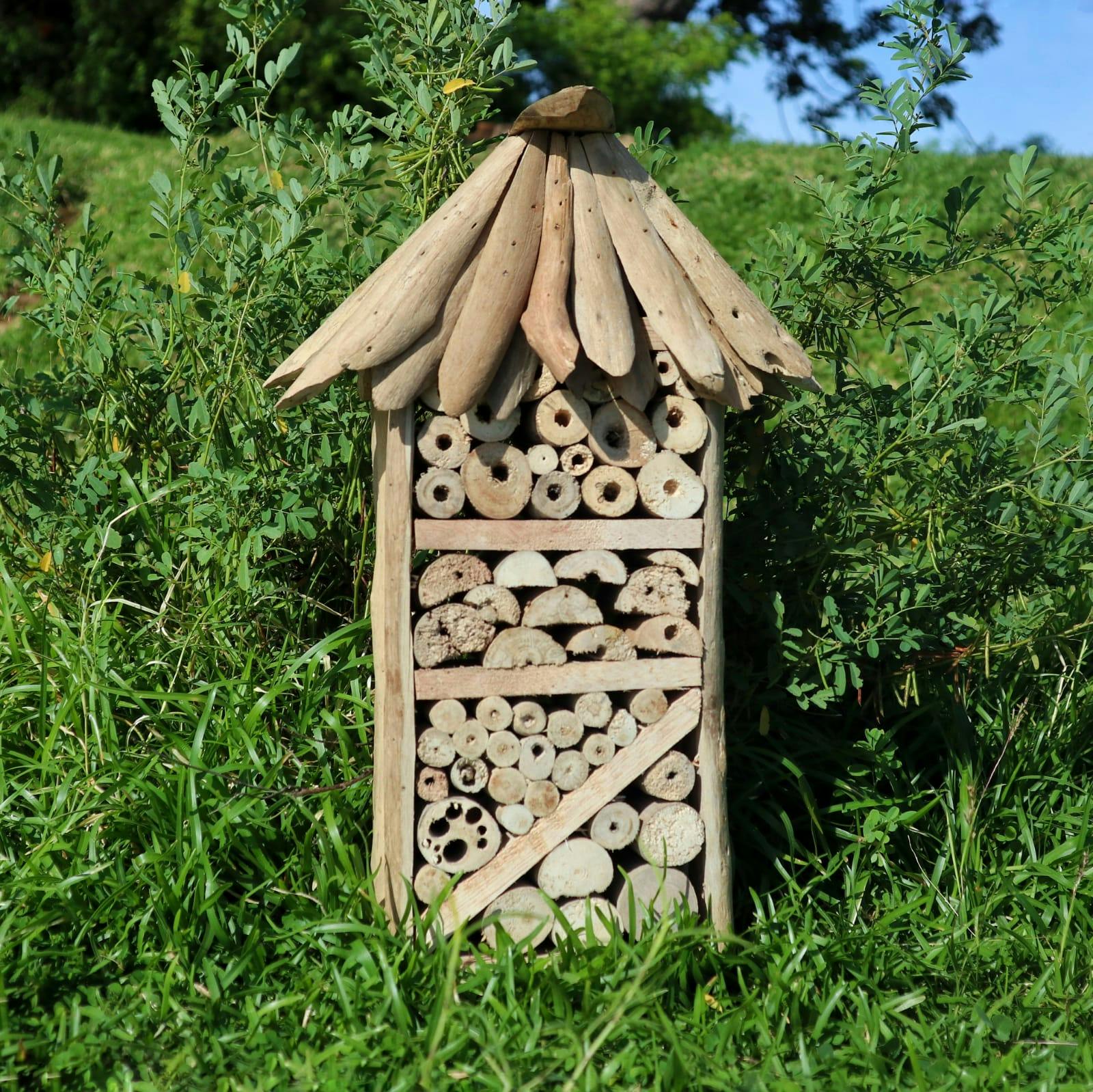 Driftwood Bee & Insect Highrise Box Image