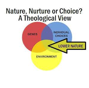 Nature, Nurture or Choice?