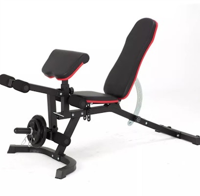 Dumbbell Bench with Leg Extension