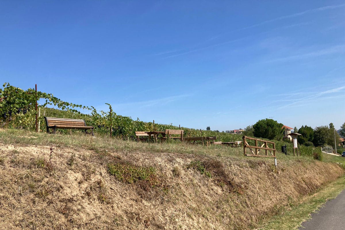 Montegrosso - Punto Zucchetto