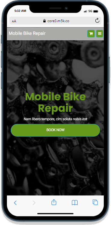 Mobile Bike Repair