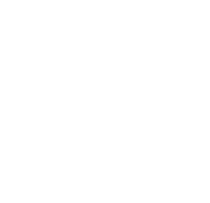 ROLE MODEL.AI