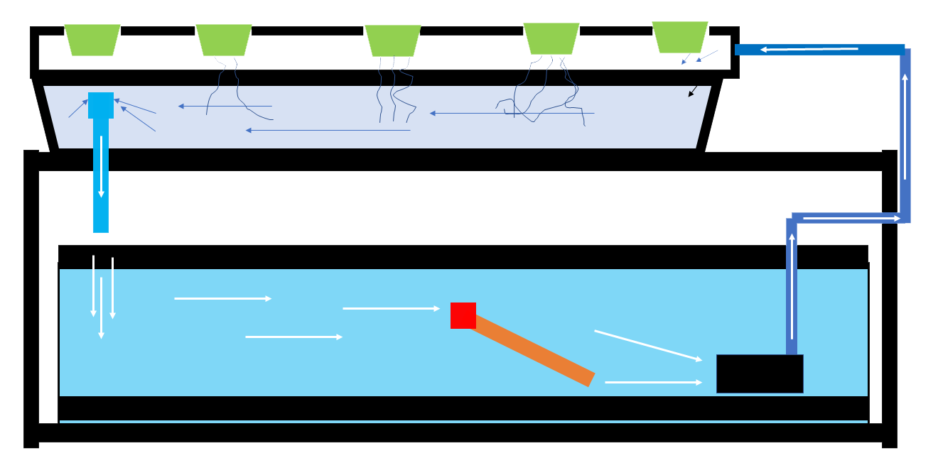 Aquaponics for Aquarists Daily Journal