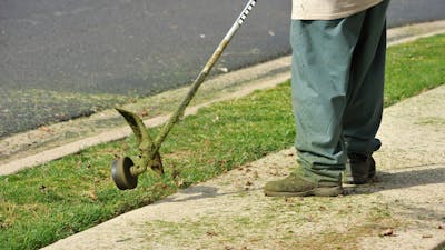 Lawn Care