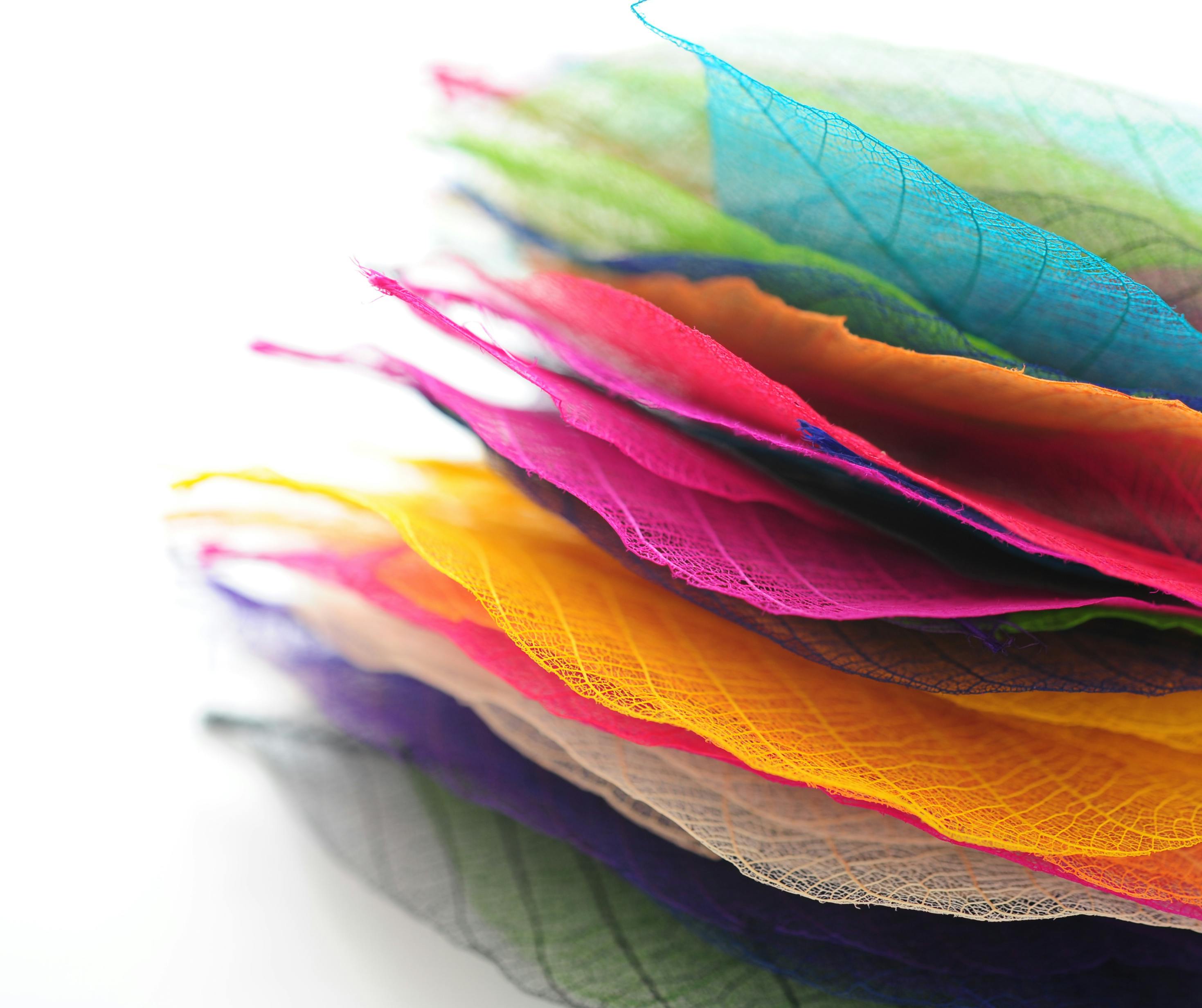 M.B.Social Media Marketing | WEB AGENCY