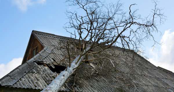 Braving the Storm: Navigating Texas Wind Damage with Doc's Roofing