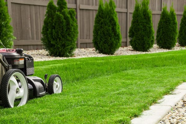 Lawn Care Maintenance And Why It's Important