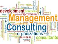 Business Management Consultants