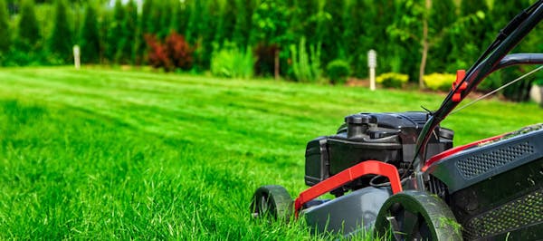 Have questions about lawn care & maintenance