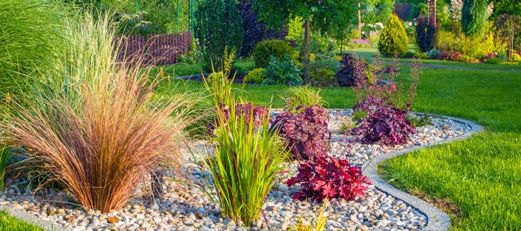 Looking for a good lawn care and landscaping service?