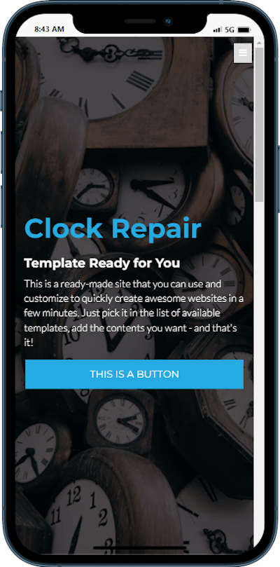 Clock Repair