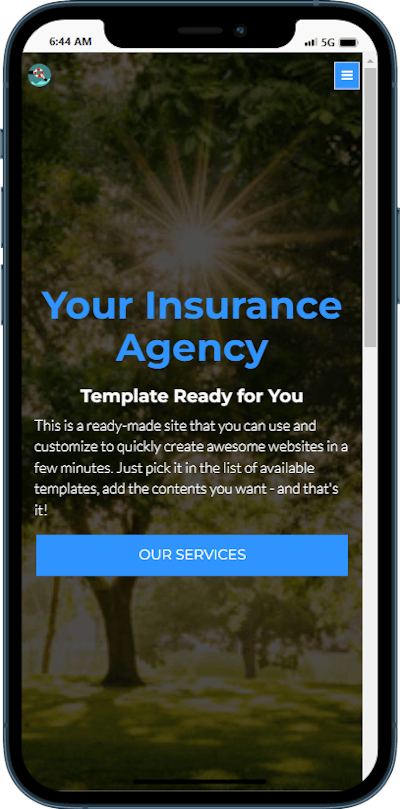 Insurance Agency