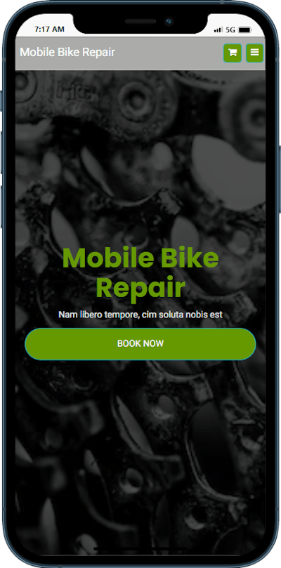 Mobile Bike Repair