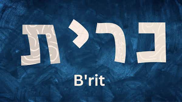 Brit בְּרִית, The Covenant 