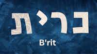 בְּרִית - Brit, The Covenant 