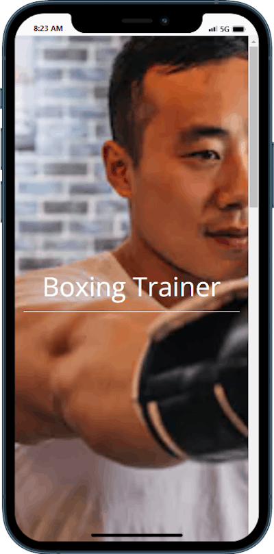 Boxing Trainer