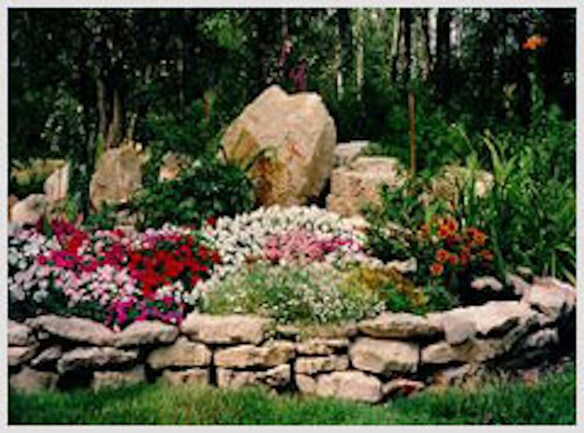 Minor Landscape Design and Installation