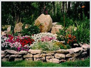 Minor Landscape Design and Installation