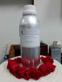 Citrus Hystrix (Kaffir Lime)