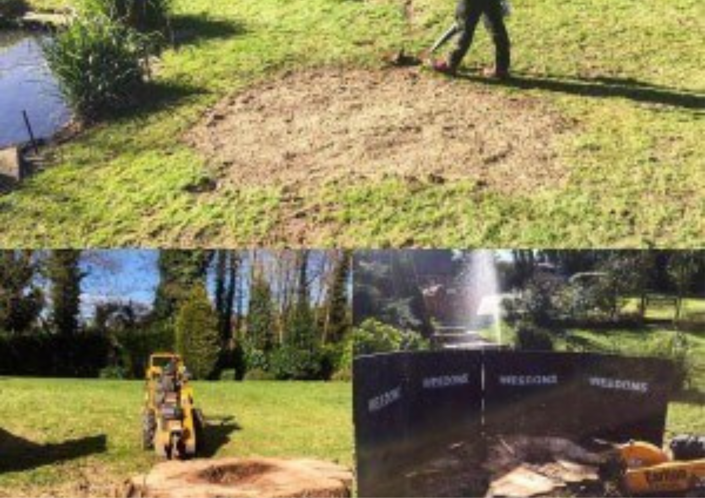Tree Stump Removal
