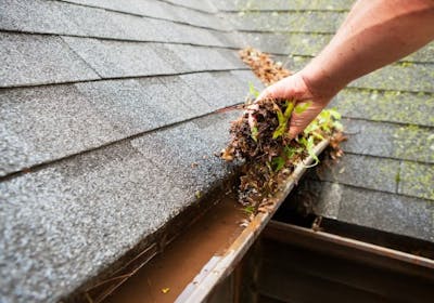 No More Clogged Gutters