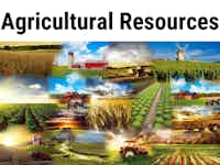 Agricultural Business Coaching Services
