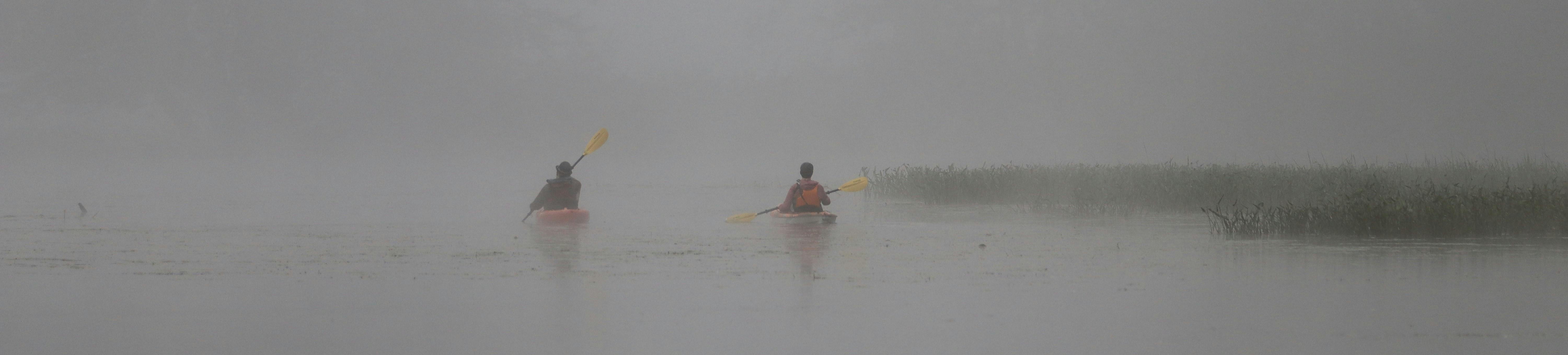 Kayak Rental in Ottawa - Winds and Waves