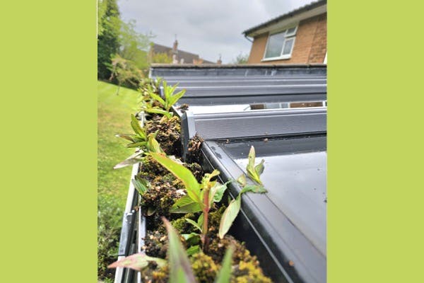 Conservatory gutter that needs cleaning