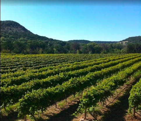 Wineries
