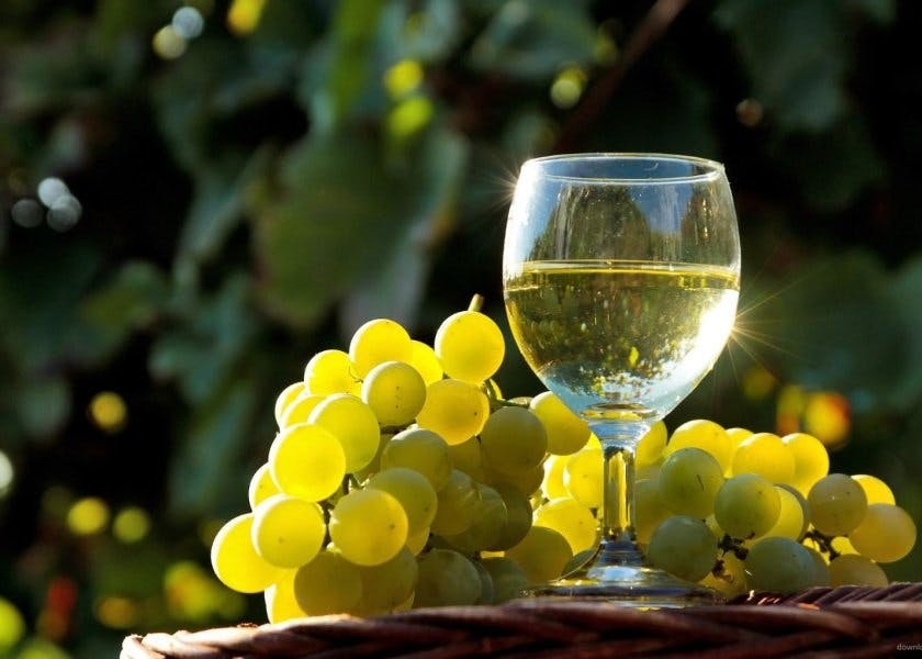 Vini bianchi