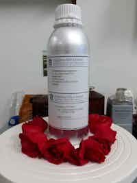 Augaherb Cucumber Extract HG