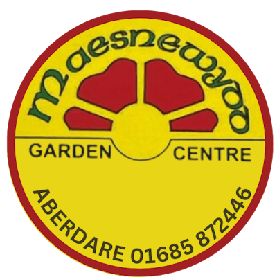 Maesnewydd Garden Centre