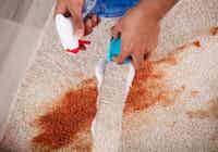 Stain Removal