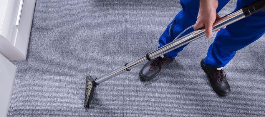 Have questions about your carpet & upholstery cleaning needs?