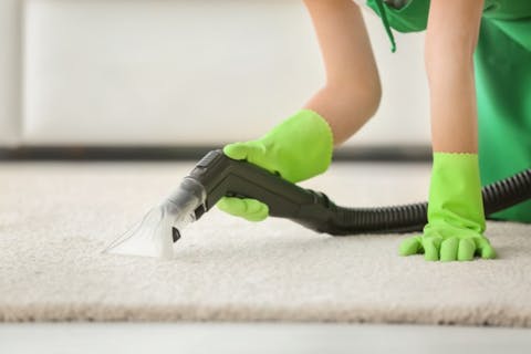 6473f16d9e15b Eco Friendly Carpet Upholstery Cleaning Join the Eco-Friendly Upholstery Cleaning Movement in Moorebank