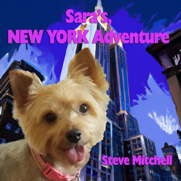Sara's NEW YORK Adventure