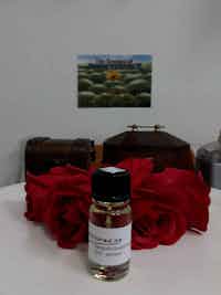 Amalfi Coast Candle Fragrance 09-1435