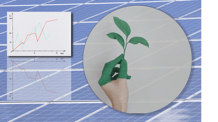 Green plant in fingers showing over solar panels