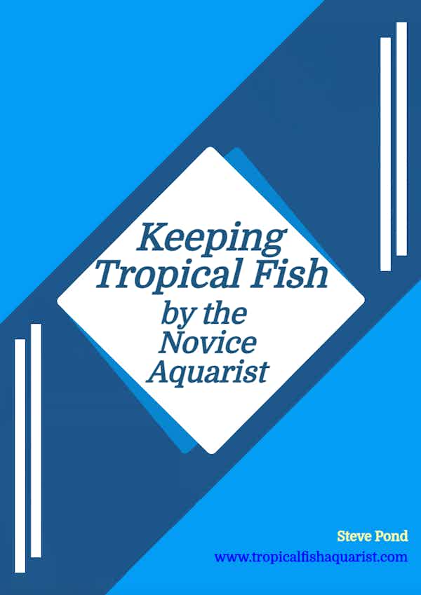 Keeping Tropical Fish by the Novice Aquarist