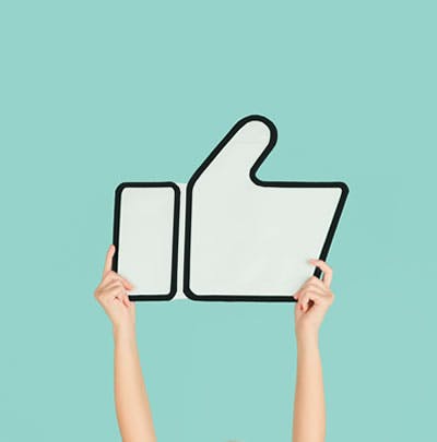 FB "like" Box