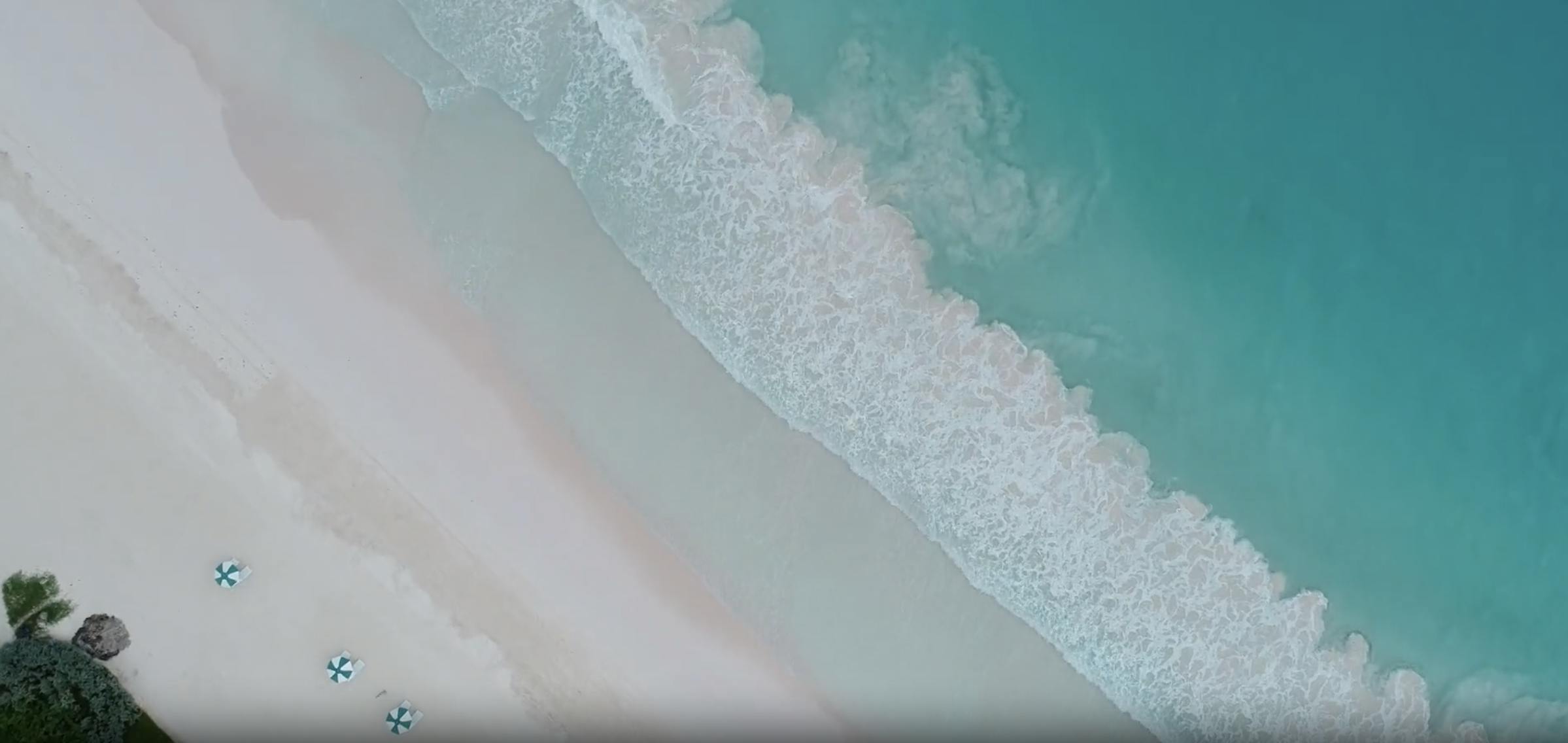 bahamas beach wedding