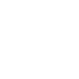 Web design & mobile apps