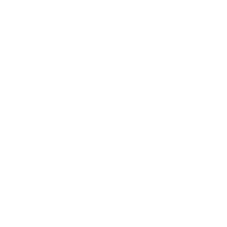 2. Add it to the shoppint cart