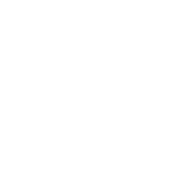 3. Complete the checkout form