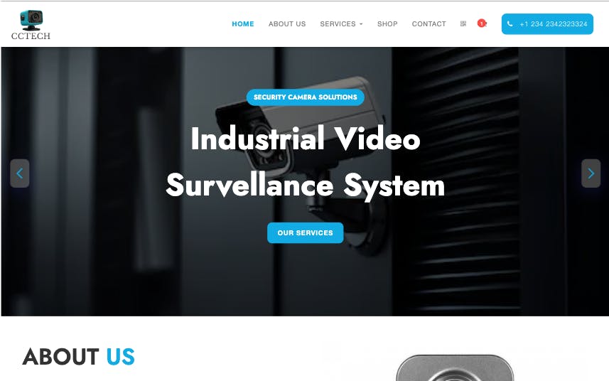 Video Surveillance