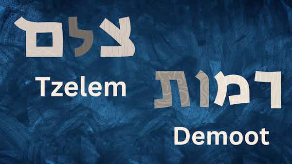 Image and Likeness Bearers Tzelem צֶלֶם and Demoot דְּמוּת