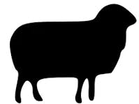 OVINO